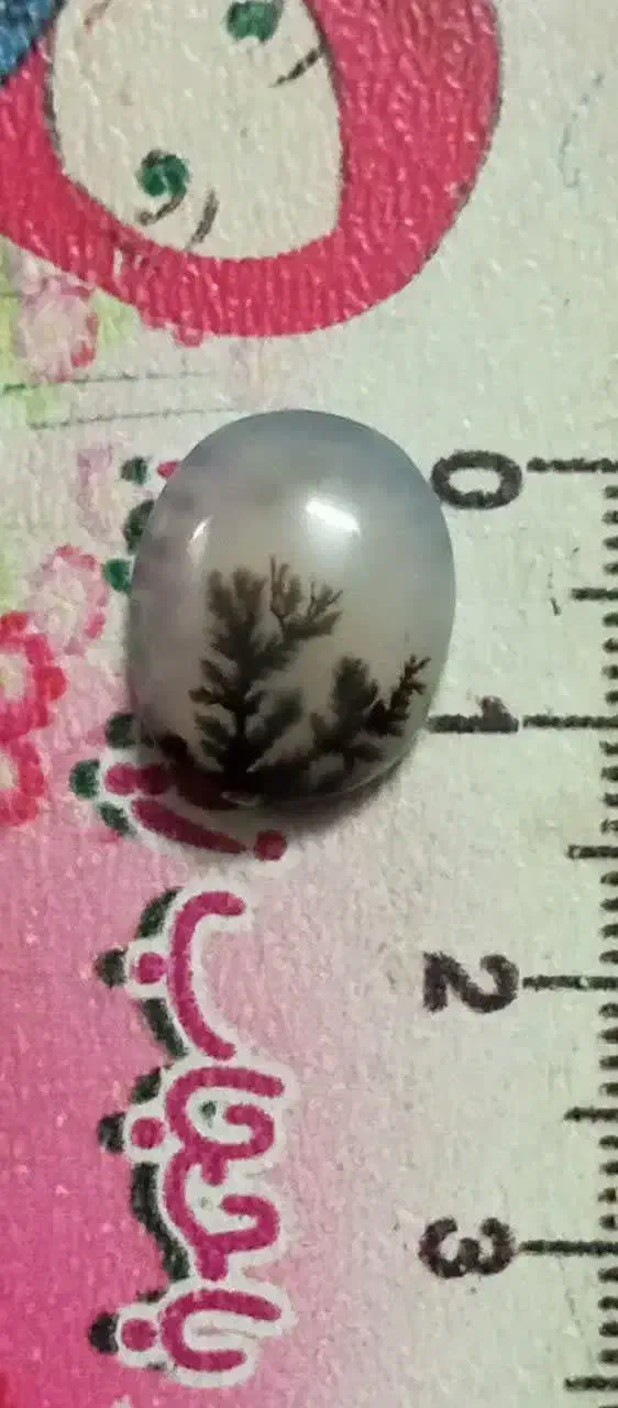 سنگ شجر|جواهرات|زنجان, |دیوار