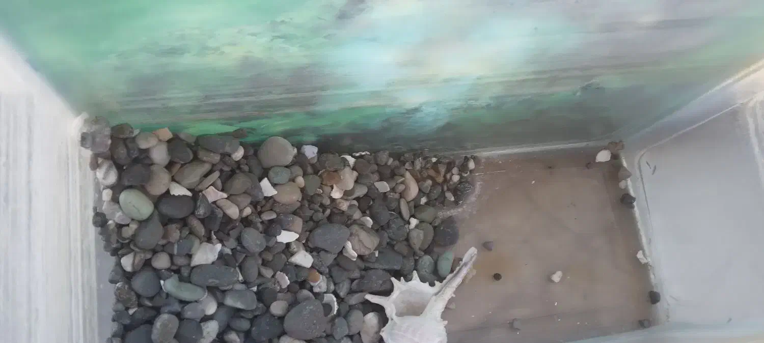 آکواریوم|لوازم جانبی حیوانات|محمدیه-قزوین, |دیوار