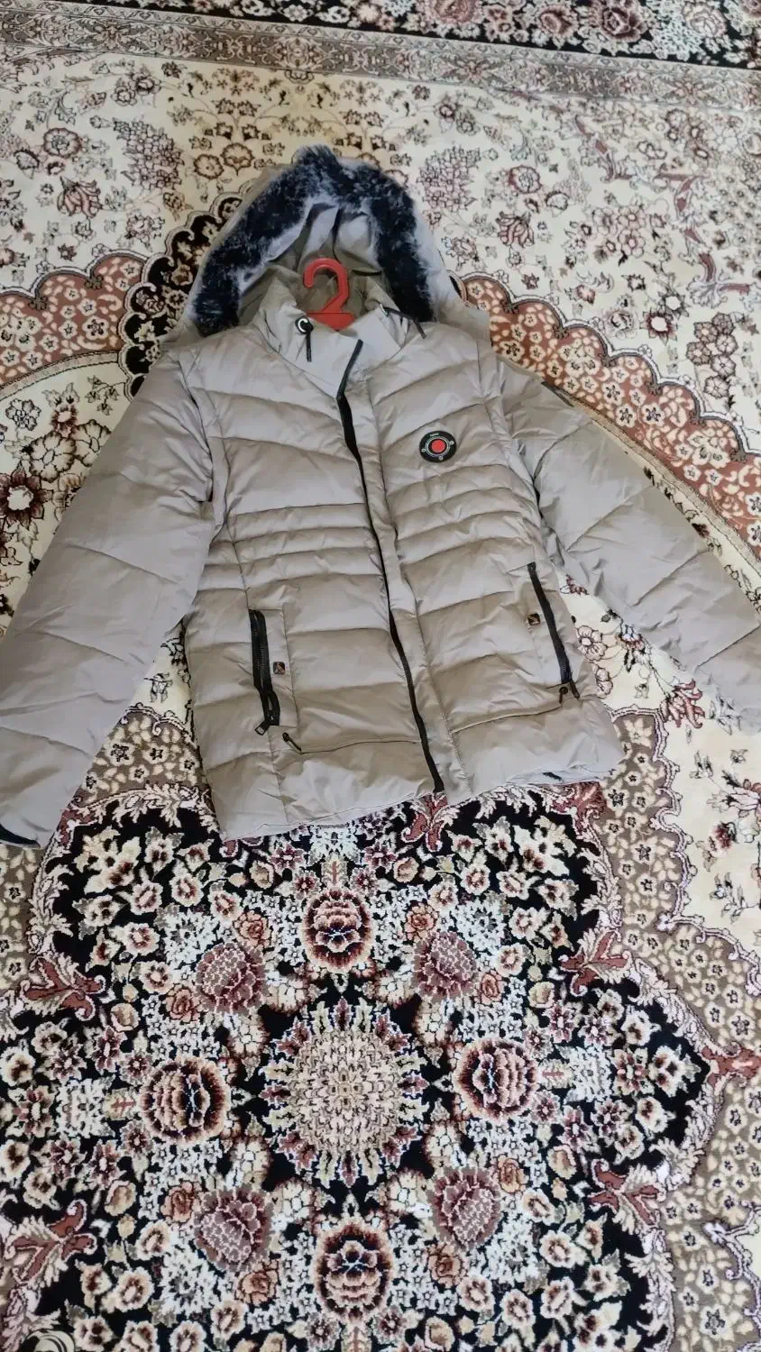 کاپشن نو|لباس|زاهدان, |دیوار