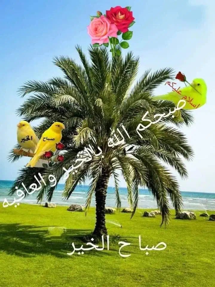 اجاره ۴۴ هکتار زمین زراعی|اجارهٔ کوتاه‌مدت ویلا و باغ|خرمشهر, |دیوار