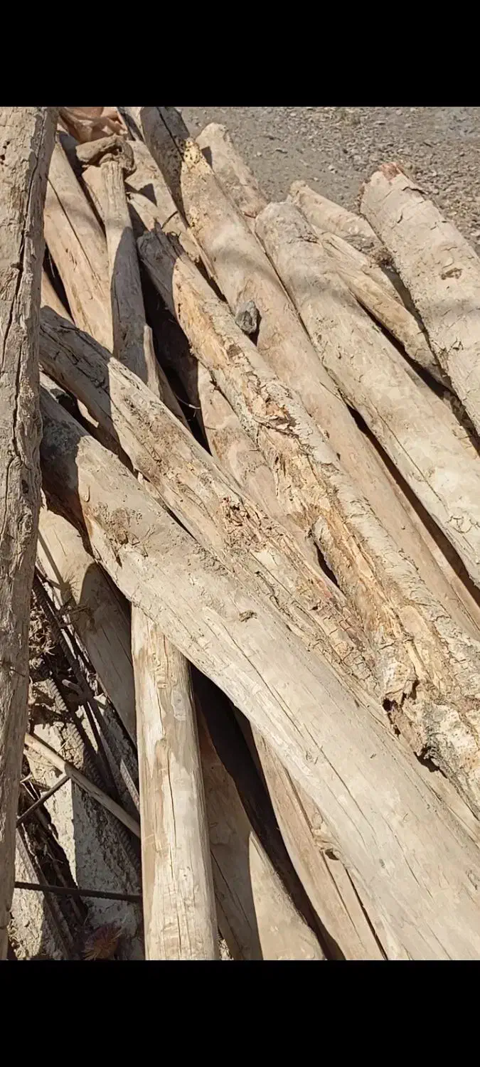 چوب سقف|مصالح و تجهیزات ساختمان|الیگودرز, |دیوار