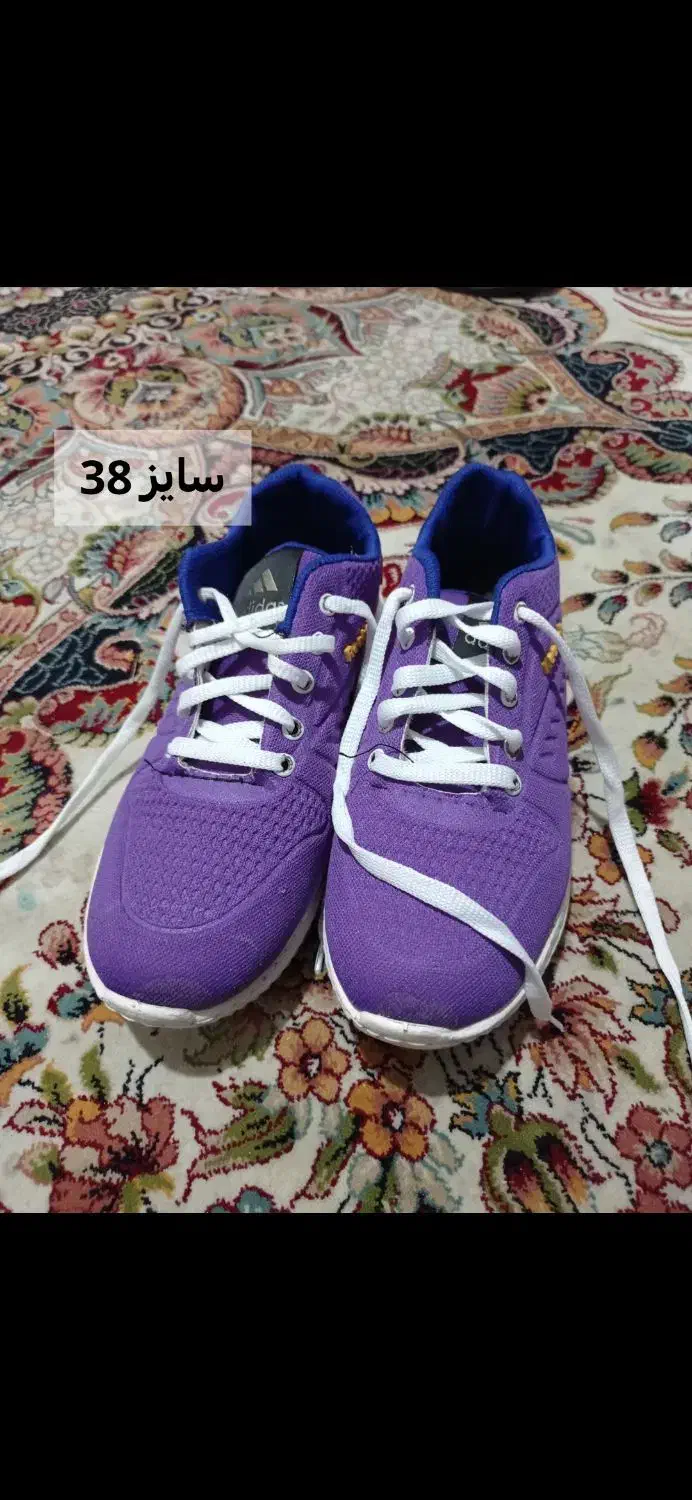 کفش ها جفتی 350|کیف، کفش، کمربند|بجنورد, |دیوار