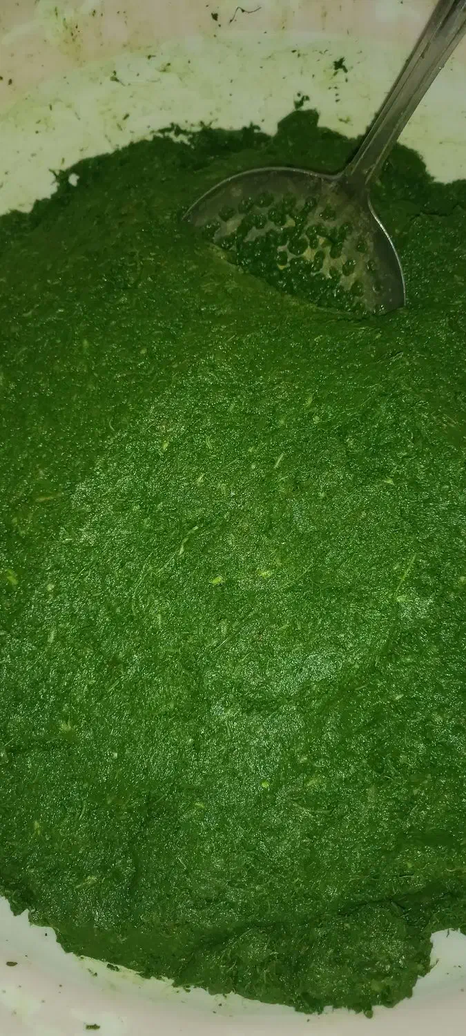 فعال بورک باسوزی|فعالیت داوطلبانه|زابل, |دیوار