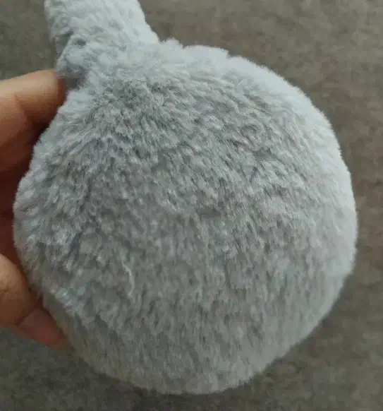 گوشبند خزدار|لباس|لنگرود, |دیوار