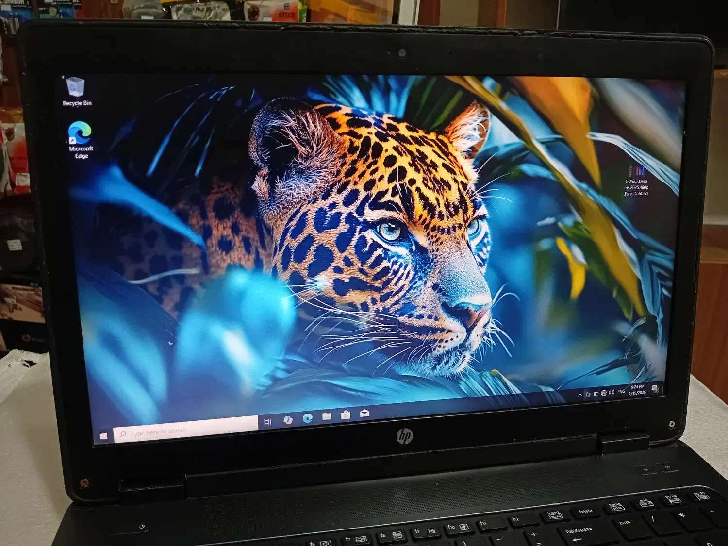 لپ تاپ ZBOOK برند HP|رایانه همراه|بابل, |دیوار