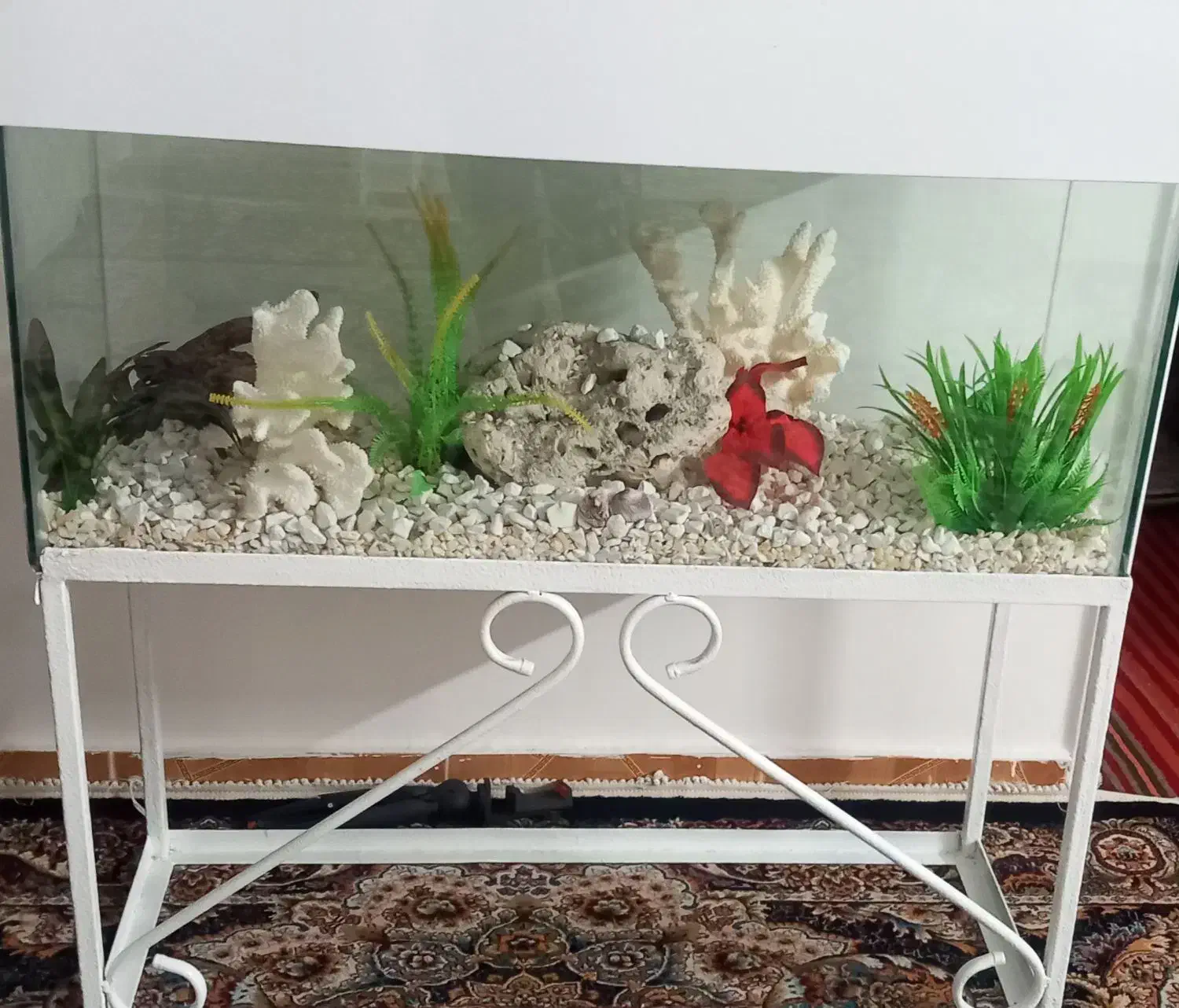 آکواریوم شرکتی وخانگی|ماهی|مشهد, رستگار|دیوار