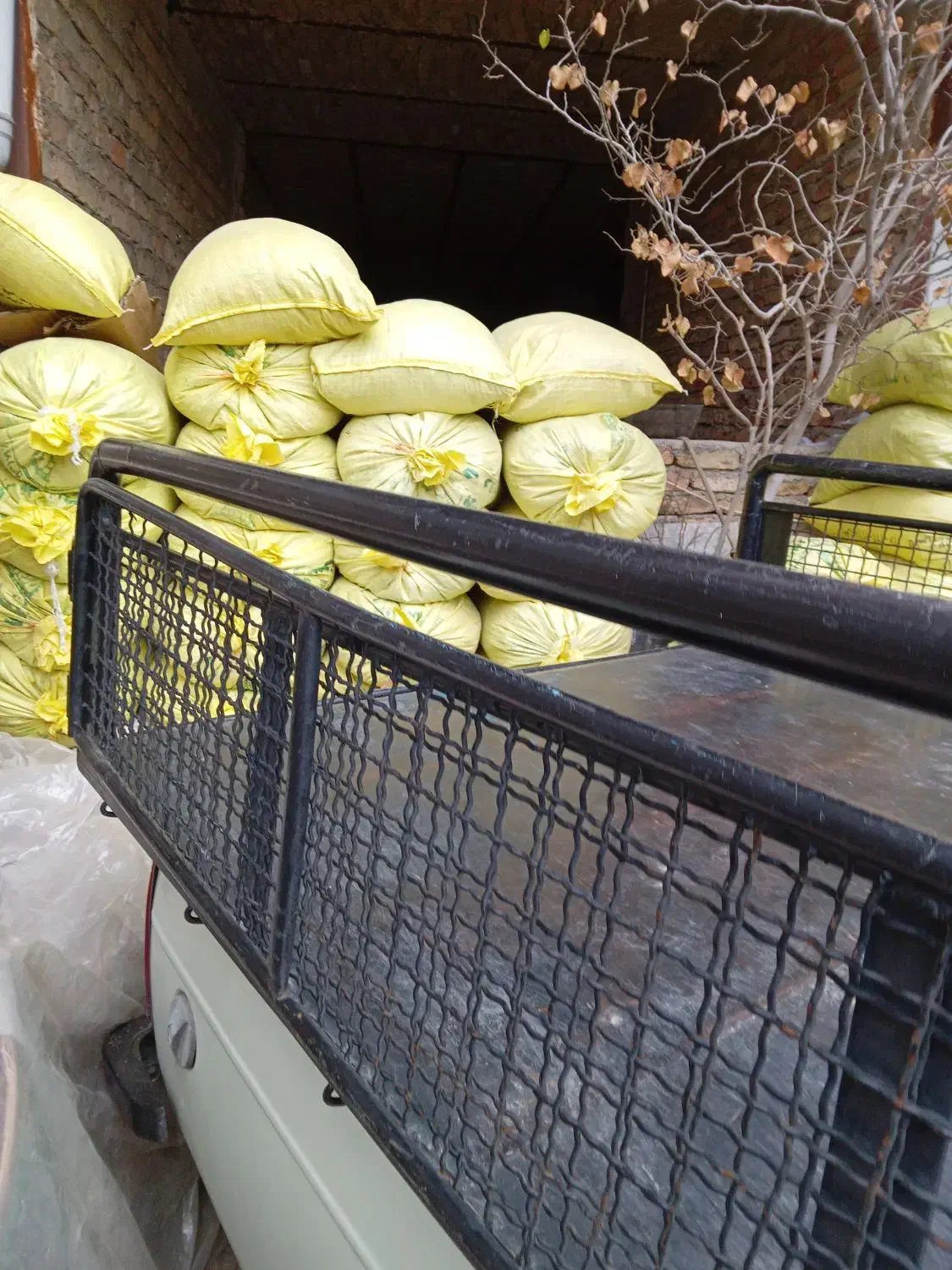 کود گوسفندی ب تمام شهرها|خدمات باغبانی و درختکاری|محمدشهر, محمدشهر|دیوار