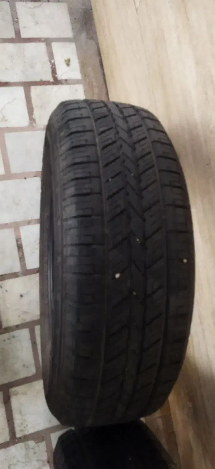 لاستیک|قطعات یدکی و لوازم جانبی|رشت, گلسار|دیوار