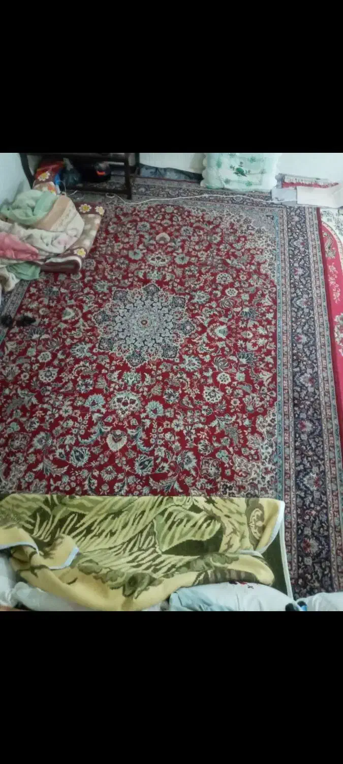 فرش|فرش|لامرد, |دیوار