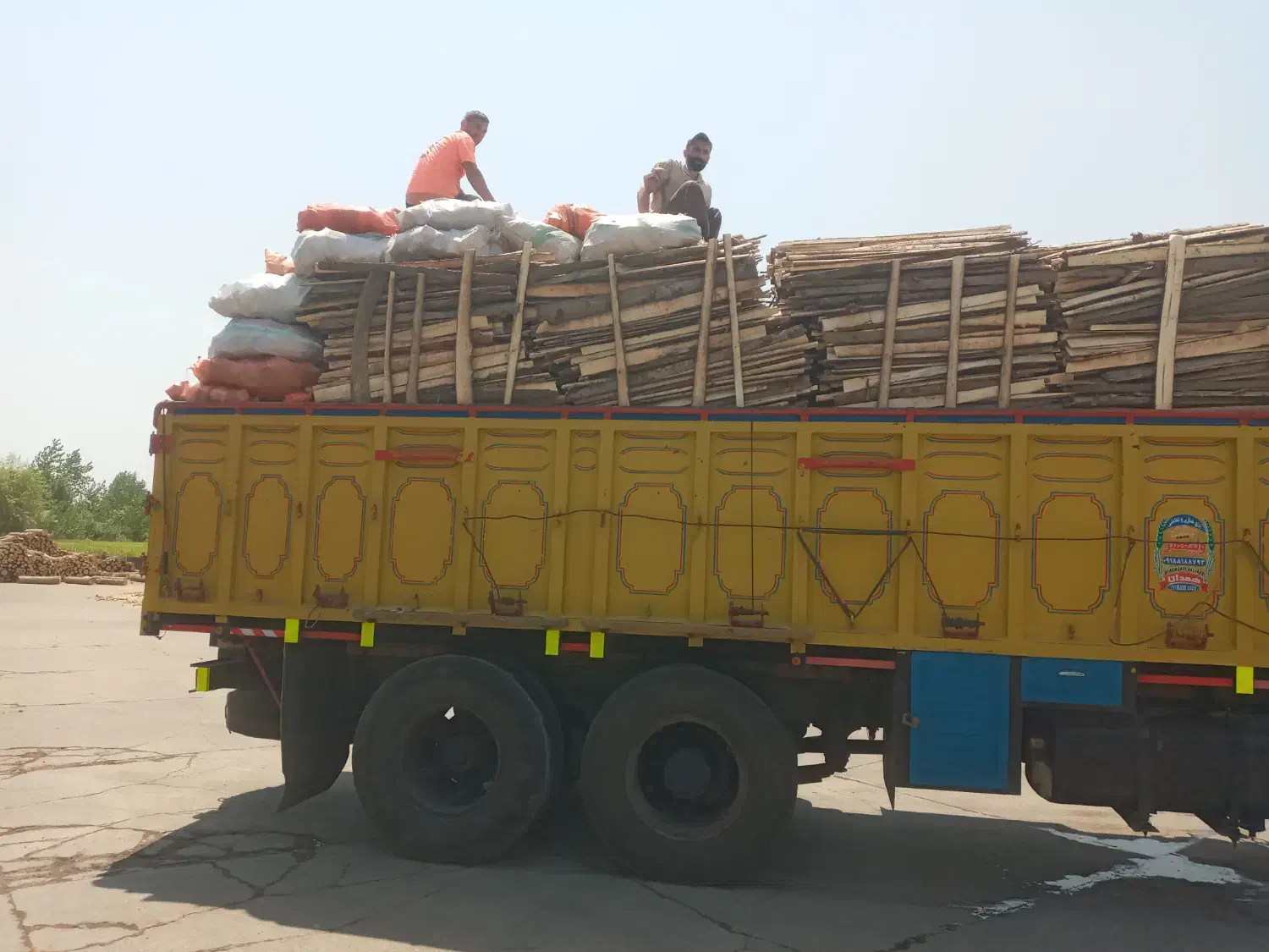 خرید و فروش چوب هیزم باغی پشت لا خاک اره|خدمات باغبانی و درختکاری|تالش, تالش|دیوار