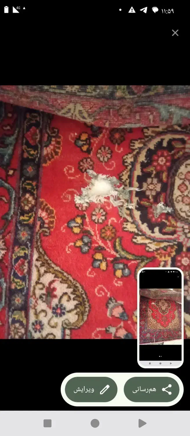 فرش خوش نقشه و رنگ|فرش|فردیس, سرحدی|دیوار