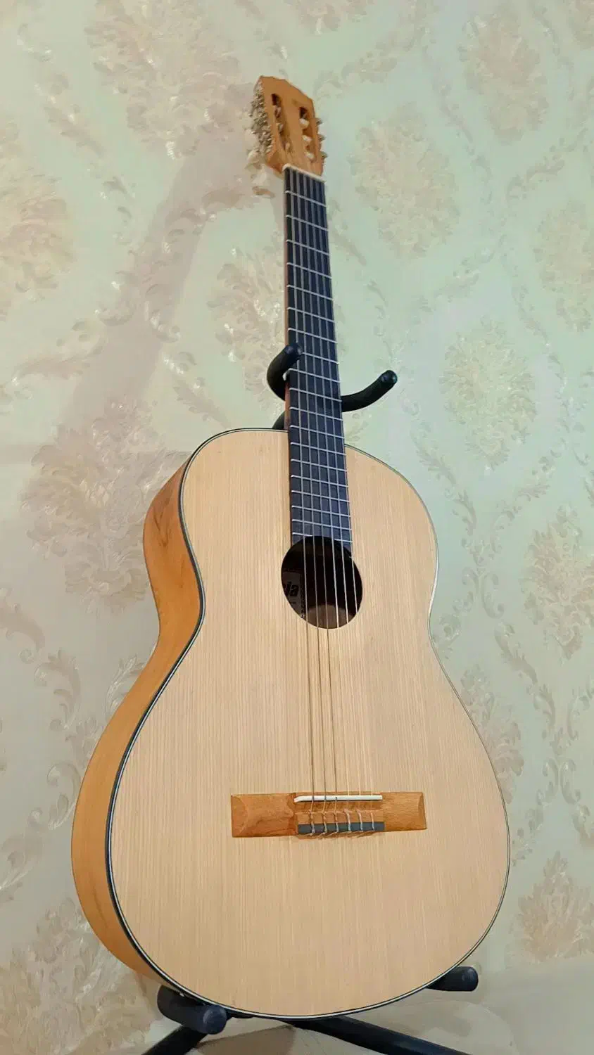 گیتار  کلاسیک اسپانیش|گیتار، بیس، امپلیفایر|شاهین‌شهر, سعدی شمالی|دیوار