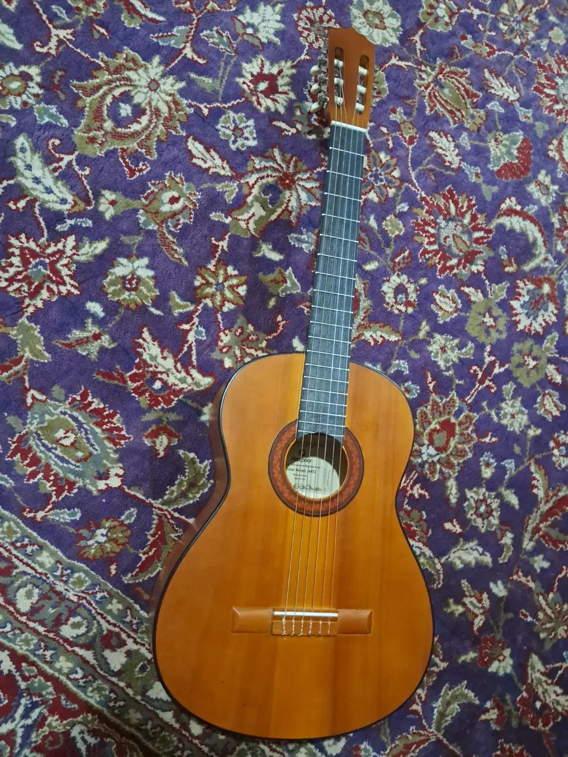 گیتار|گیتار، بیس، امپلیفایر|تربت جام, شهرک آزادگان|دیوار