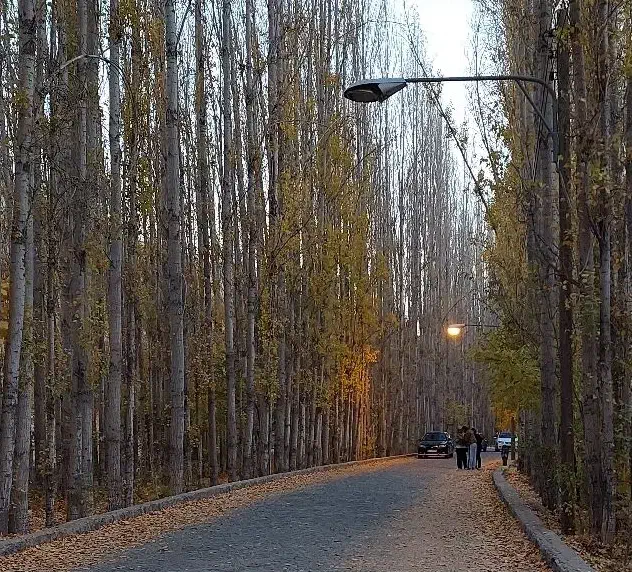 آموزش رانندگی خصوصی فقط بانوان|خدمات آموزشی|یاسوج, |دیوار