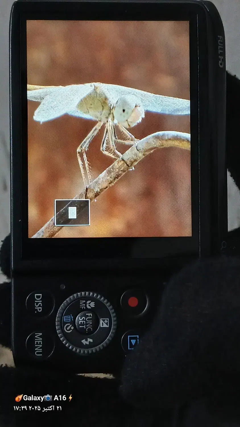 دوربین|دوربین عکاسی و فیلم‌برداری|پرند, فاز ۵|دیوار