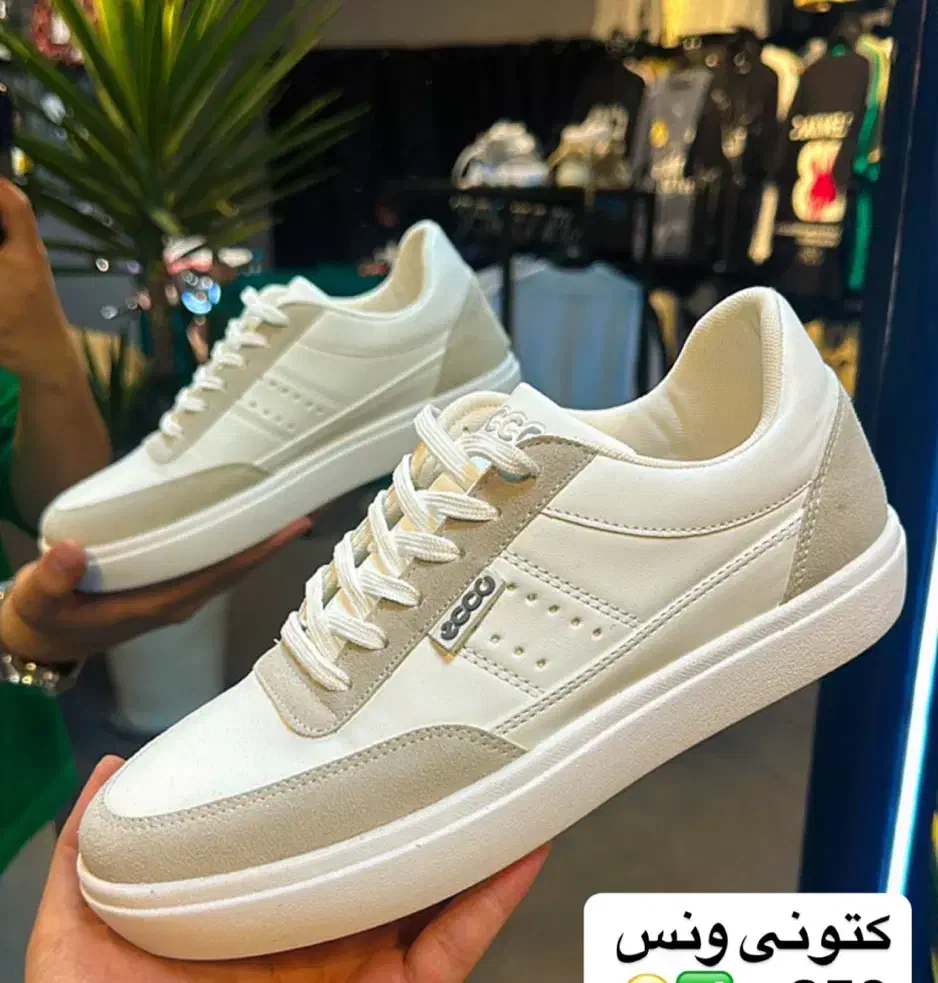 تعدادی کتونی به صورت یکجا به علت تغیر شغل|کیف، کفش، کمربند|محمدشهر, محمدشهر|دیوار