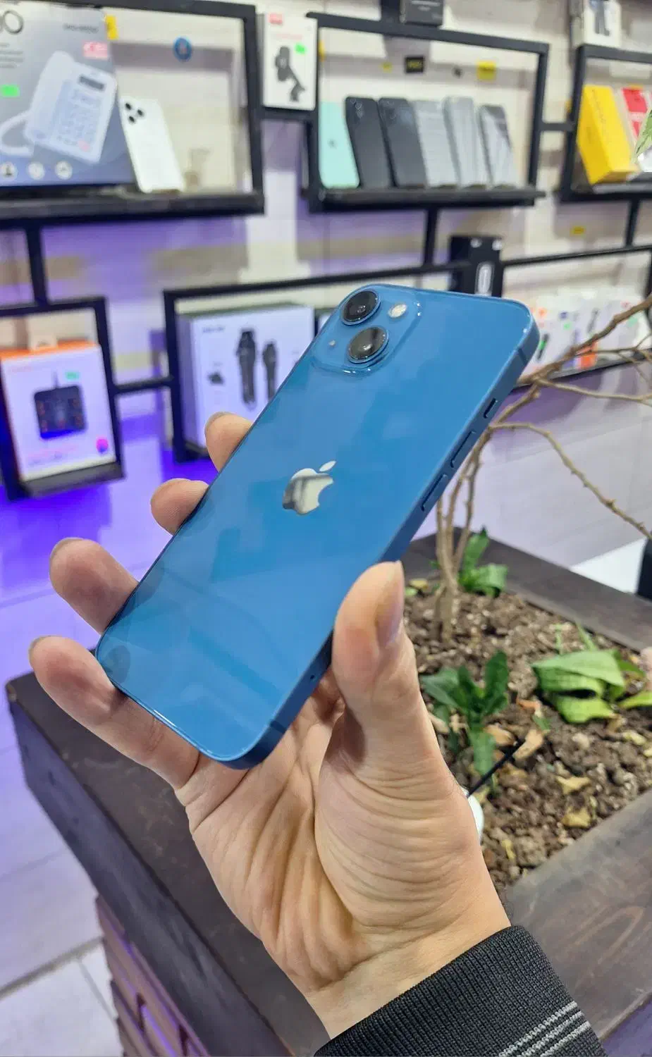 آیفون ۱۳ نرمال 128|موبایل|رویان, |دیوار