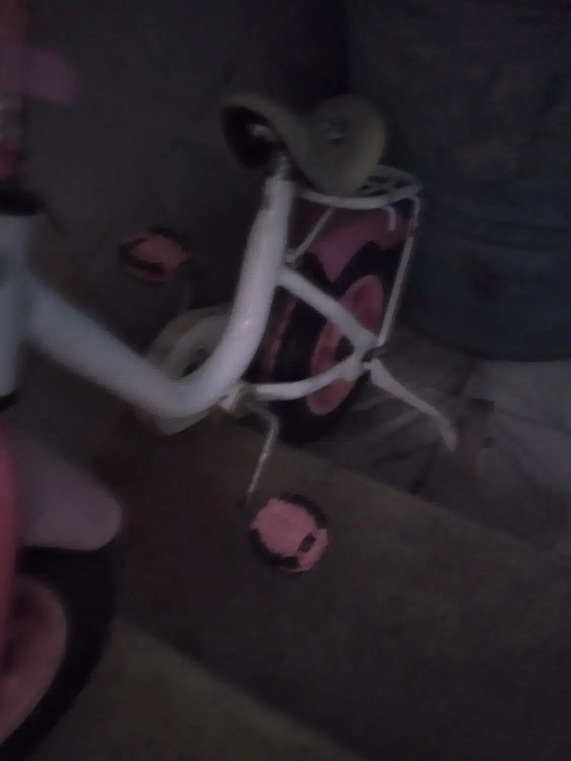 دوچرخه دخترانه|دوچرخه، اسکیت، اسکوتر|قم, فرهنگیان و شهربانی|دیوار