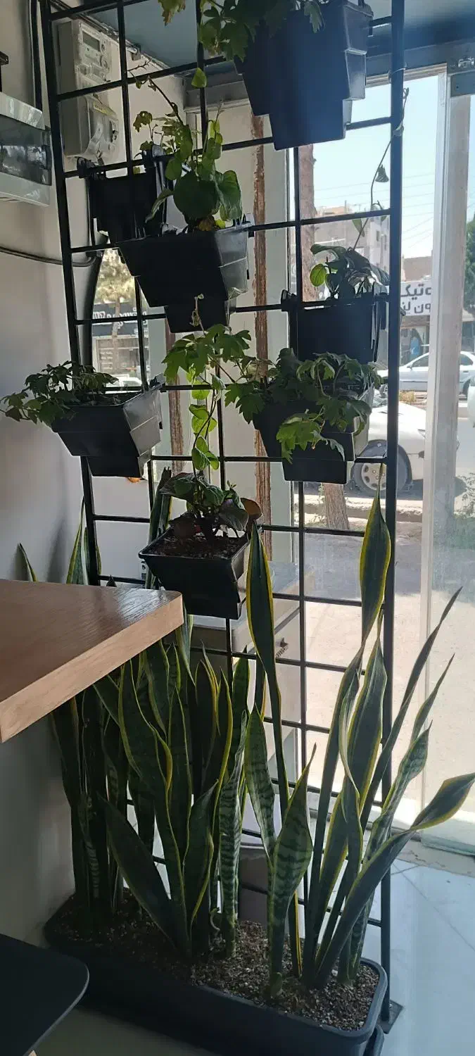 نیازمند همکار خانم جهت کار در ساندویچ سرد|استخدام خدمات فروشگاه و رستوران|بیرجند, |دیوار