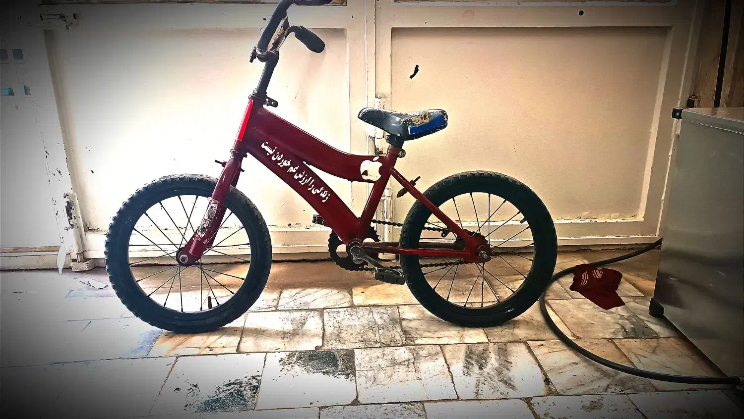 دوچرخه 16|دوچرخه، اسکیت، اسکوتر|بیرجند, |دیوار