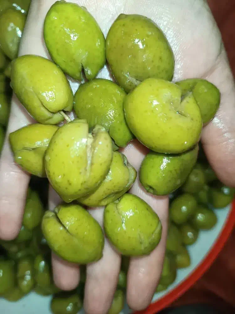 زیتون سوپر ویژه|خوردنی و آشامیدنی|رشت, ترمینال|دیوار