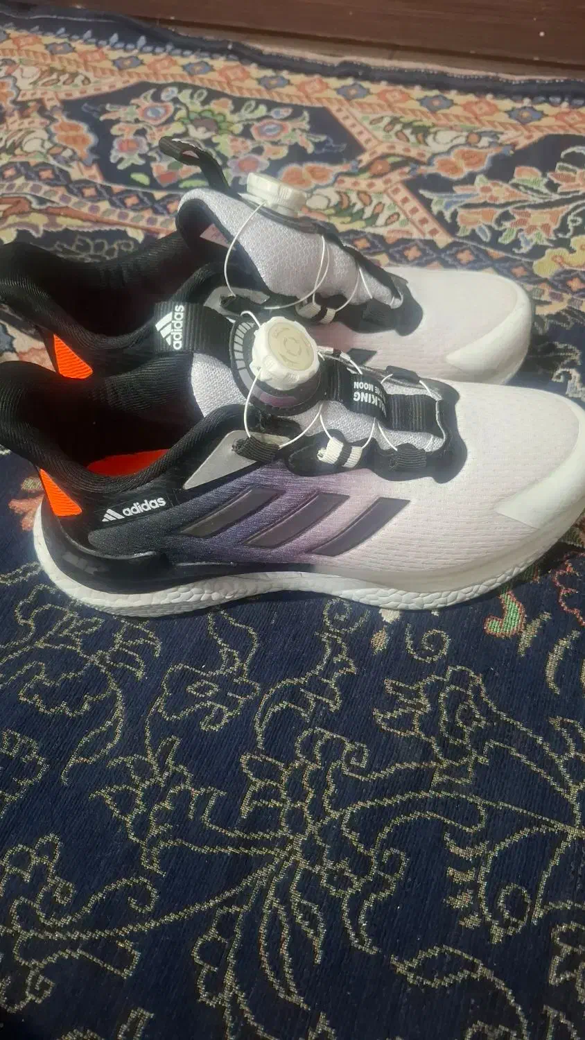 کفش آدیداس|کیف، کفش، کمربند|کرمانشاه, |دیوار