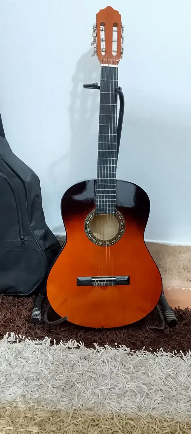 ساز بهمراه پایه و کیف|گیتار، بیس، امپلیفایر|گنبد کاووس, |دیوار