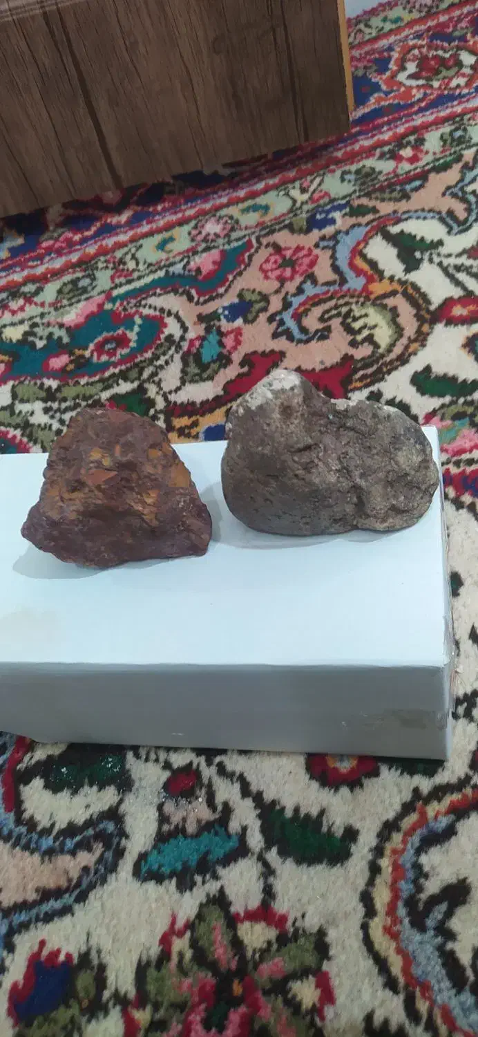 فسیل و شهاب سنگ|کلکسیون اشیاء عتیقه|تفرش, |دیوار