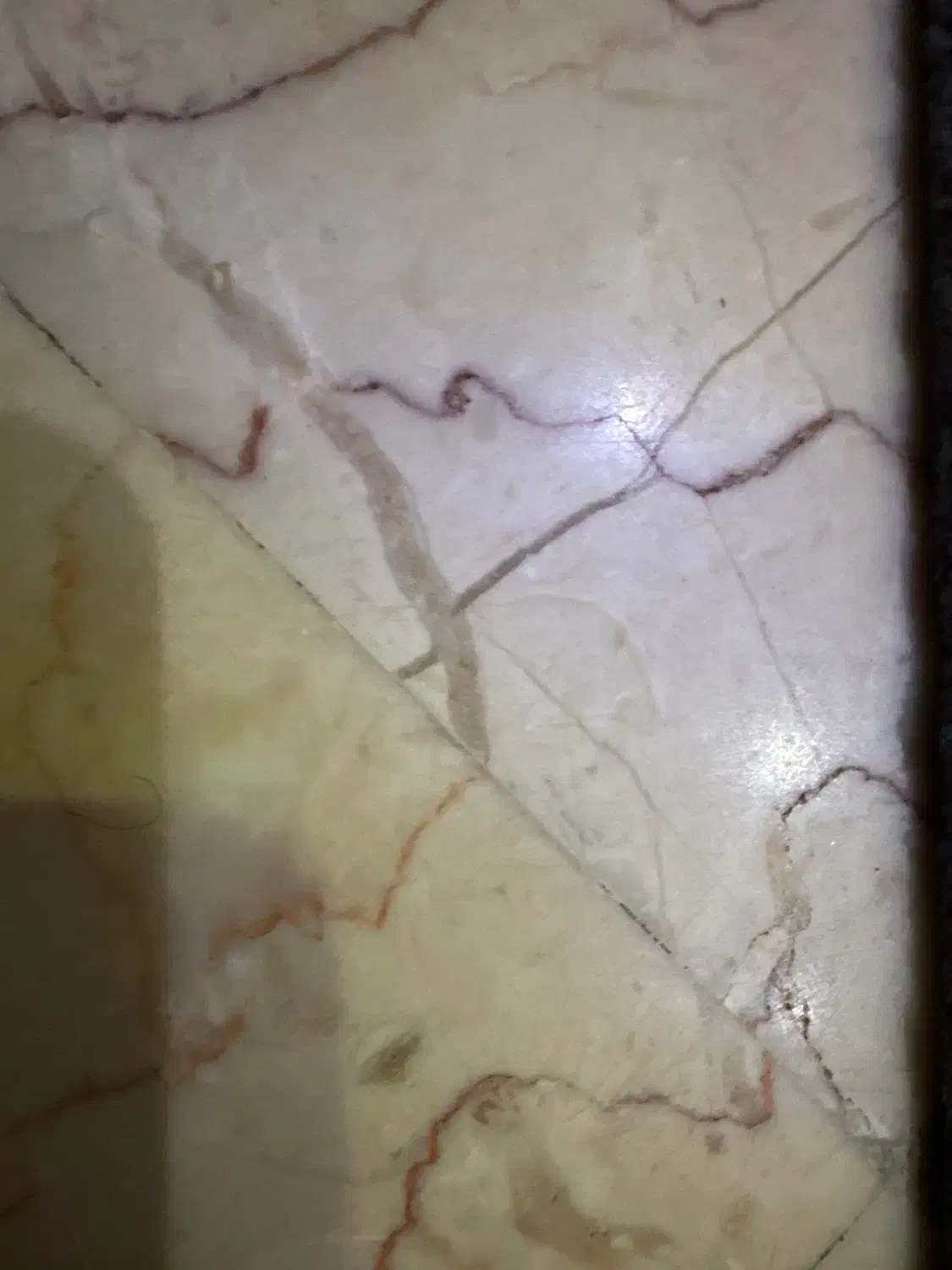 فروشندگی پوشاک زنانه|استخدام بازاریابی و فروش|تهران, بازار|دیوار