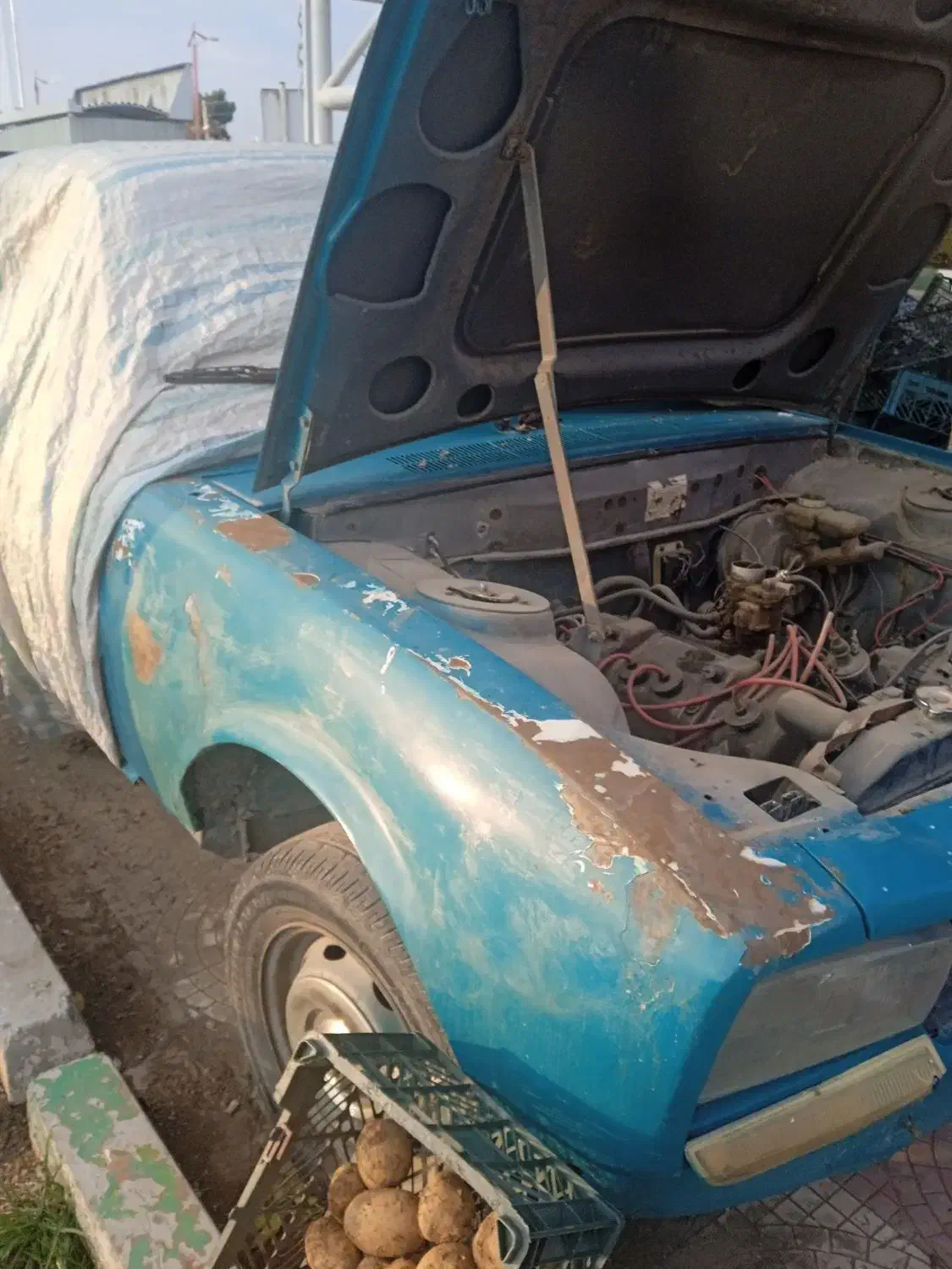 پژو 504|خودرو کلاسیک|محمدیه-قزوین, |دیوار