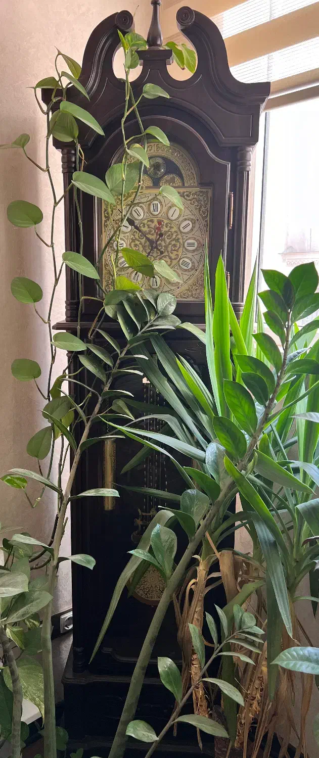 فروش ساعت ایستاده در حد نو|ساعت دیواری و تزئینی|شیراز, قدوسی غربی|دیوار