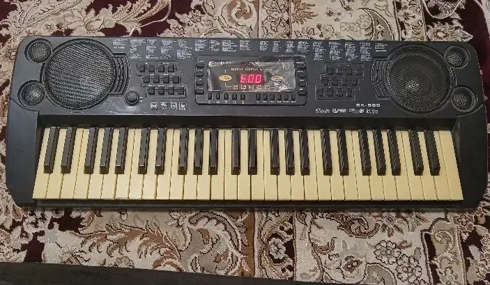 ارگ آموزشی|پیانو، کیبورد، آکاردئون|شهرکرد, |دیوار