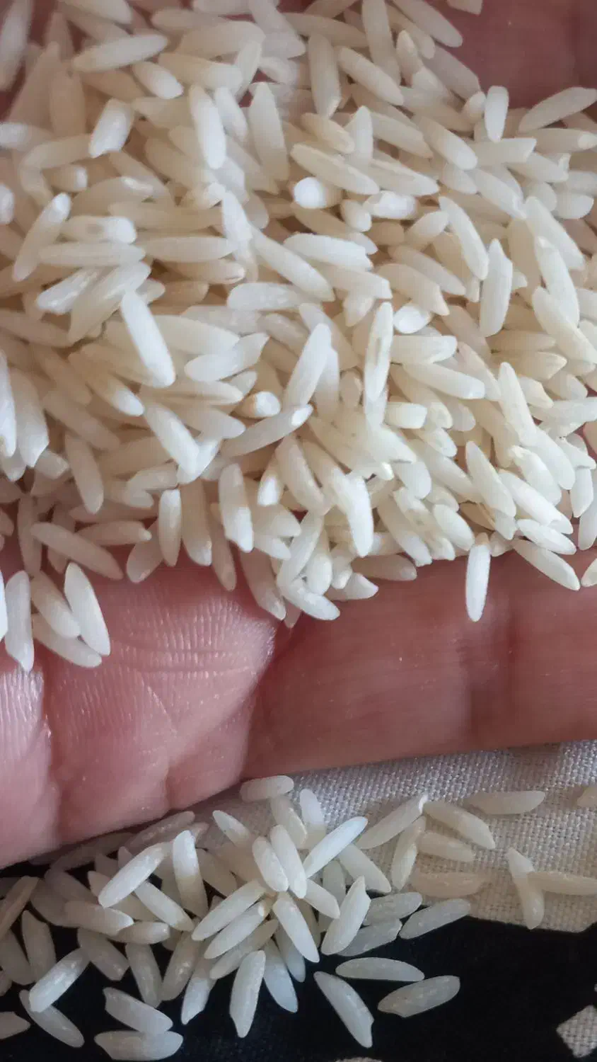 برنج شمال کیفیت عالی|خوردنی و آشامیدنی|فولادشهر, B1|دیوار