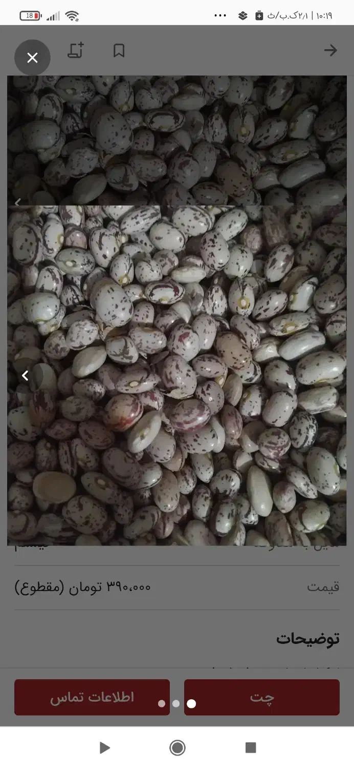 لوبیا چیتی کشت امسال|عمدهفروشی|بابلسر, |دیوار