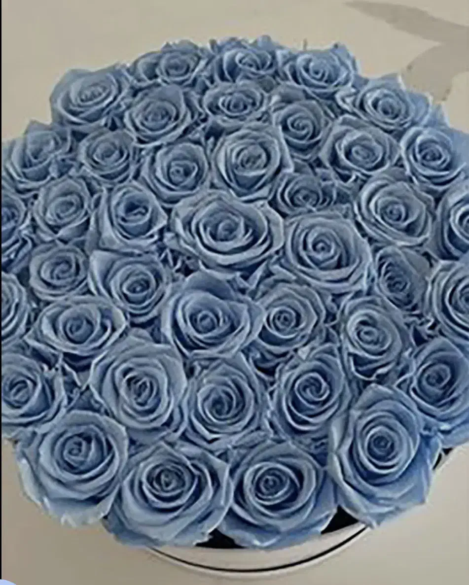 گلربانی مخصوص هدیه دادن|گل مصنوعی|گلبهار, شهر جدید گلبهار|دیوار