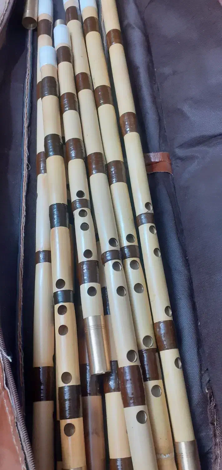 خریدنی حرفه ای بدون واسطه درداخل کارگاه|سازهای بادی|شاهینشهر, گزبرخوار|دیوار