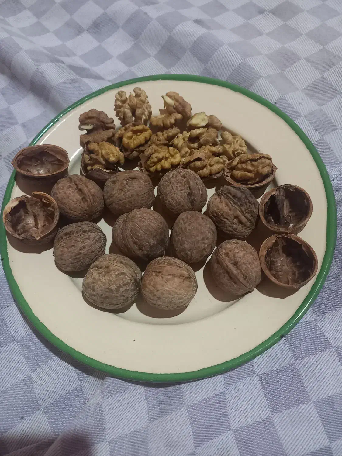 گردوی تازه پر چرب سفید و پوست کاغذی|خوردنی و آشامیدنی|جلفا, |دیوار