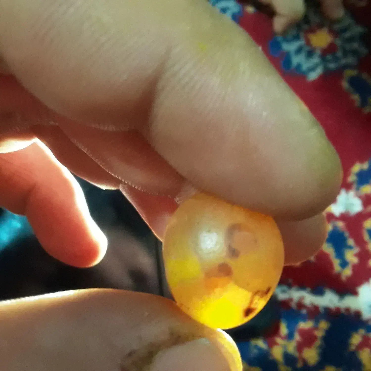 سنگهای گرد سوراخدار|بدلیجات|مراغه, |دیوار