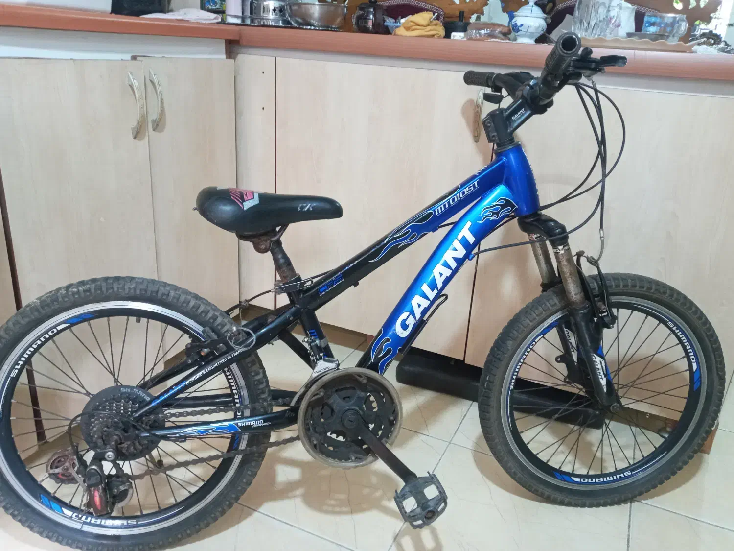 دوچرخه حرفه ای سایز ۲۰|دوچرخه، اسکیت، اسکوتر|رشت, دروازه لاکان|دیوار