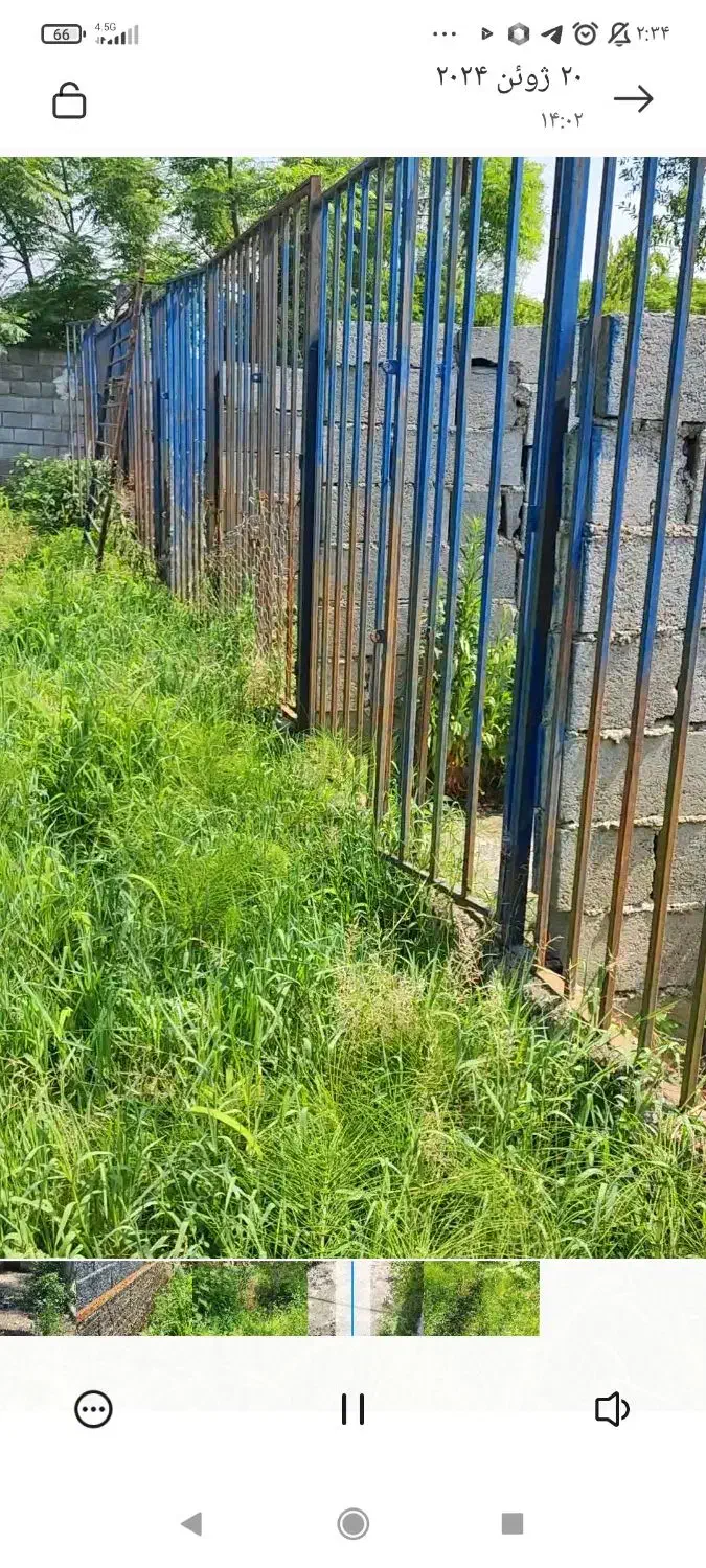 سگ .اسب آگهی بخونید|سگ|خرمآباد (تنکابن), |دیوار