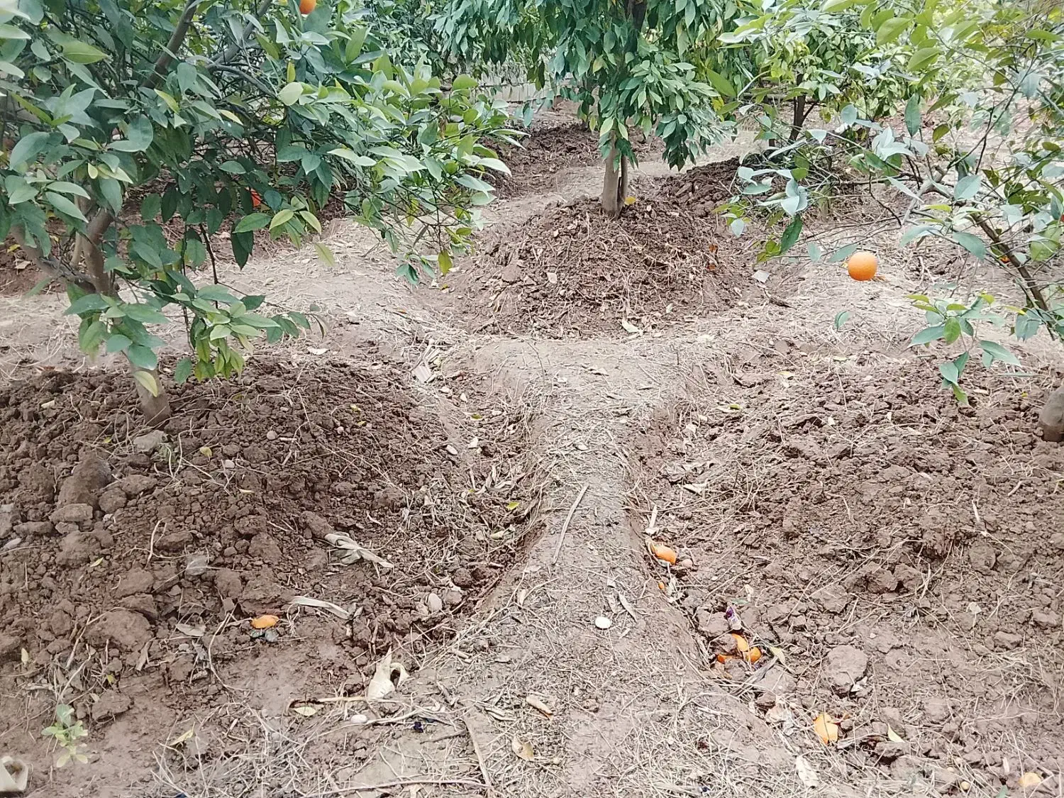 حفاری چاه|خدمات پیشه و مهارت|دزفول, |دیوار