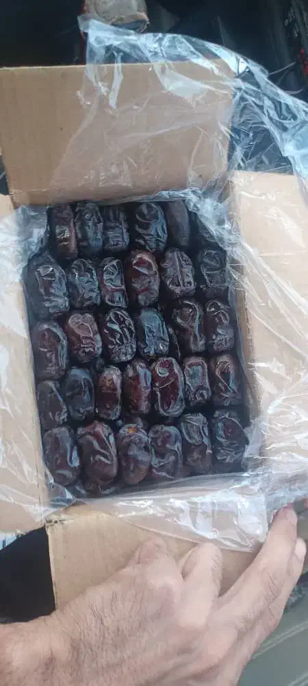 خرمایی مضافتی|حراج|ملک‌آباد, |دیوار