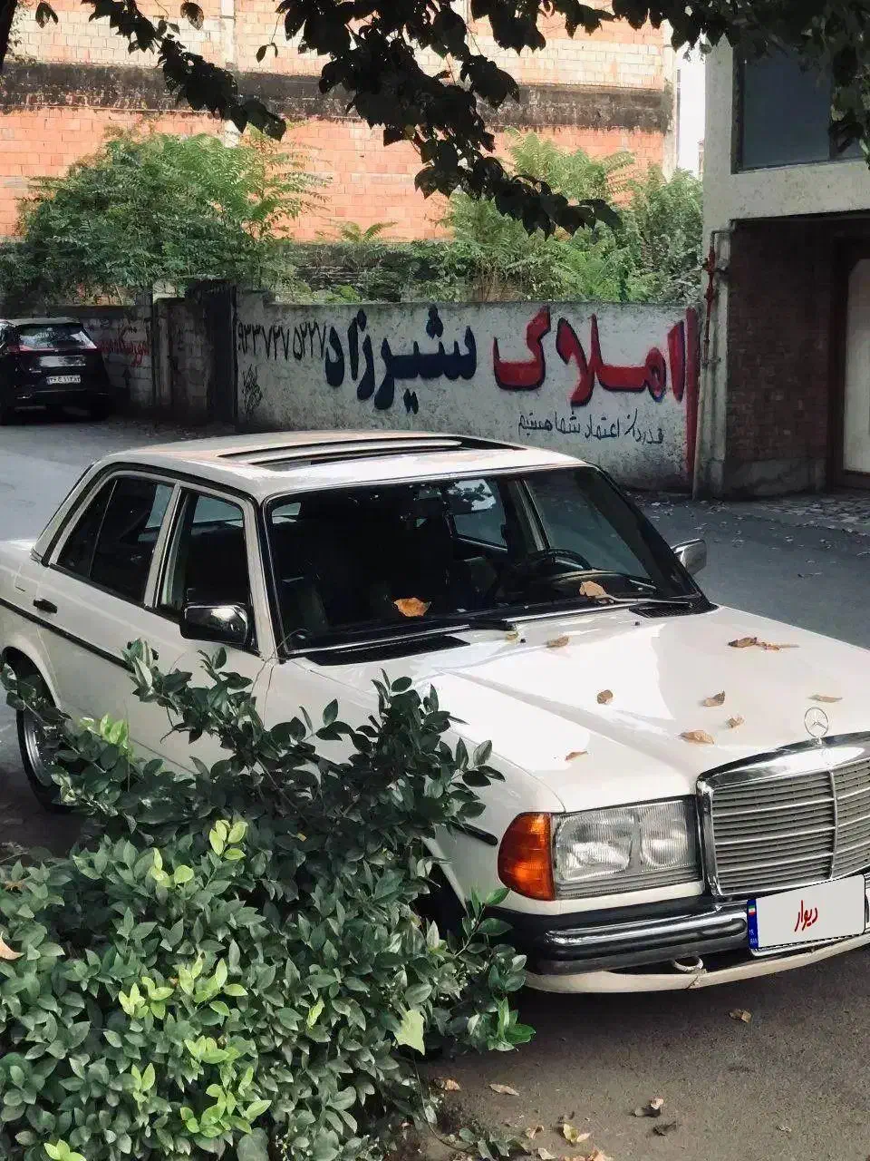 ماشین عروس|خودرو اجارهای|بابل, |دیوار