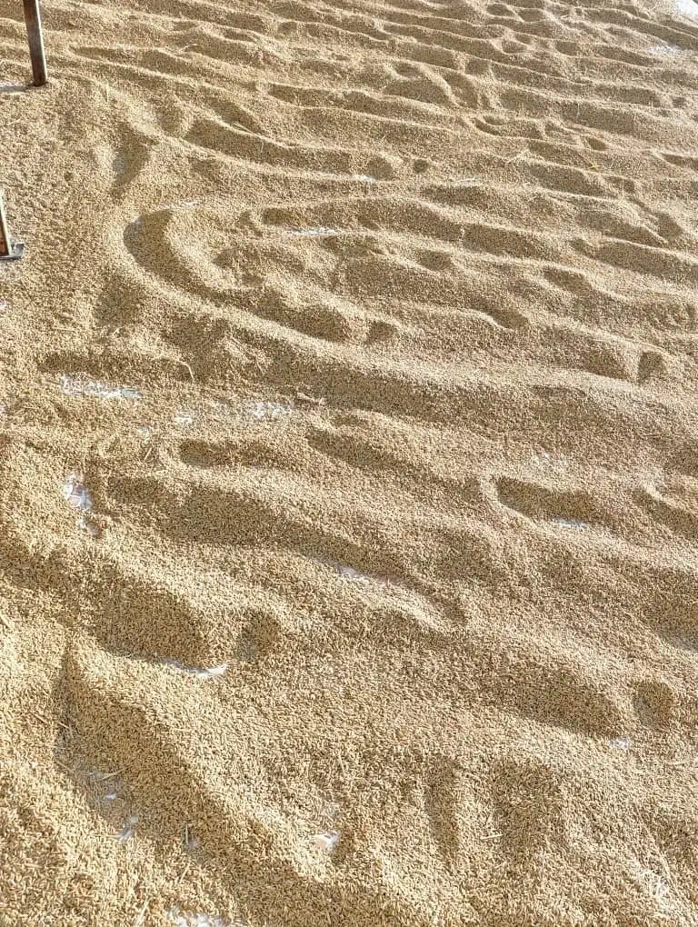 چلتوک اهوازی خشک|خوردنی و آشامیدنی|مرودشت, فرهنگ|دیوار