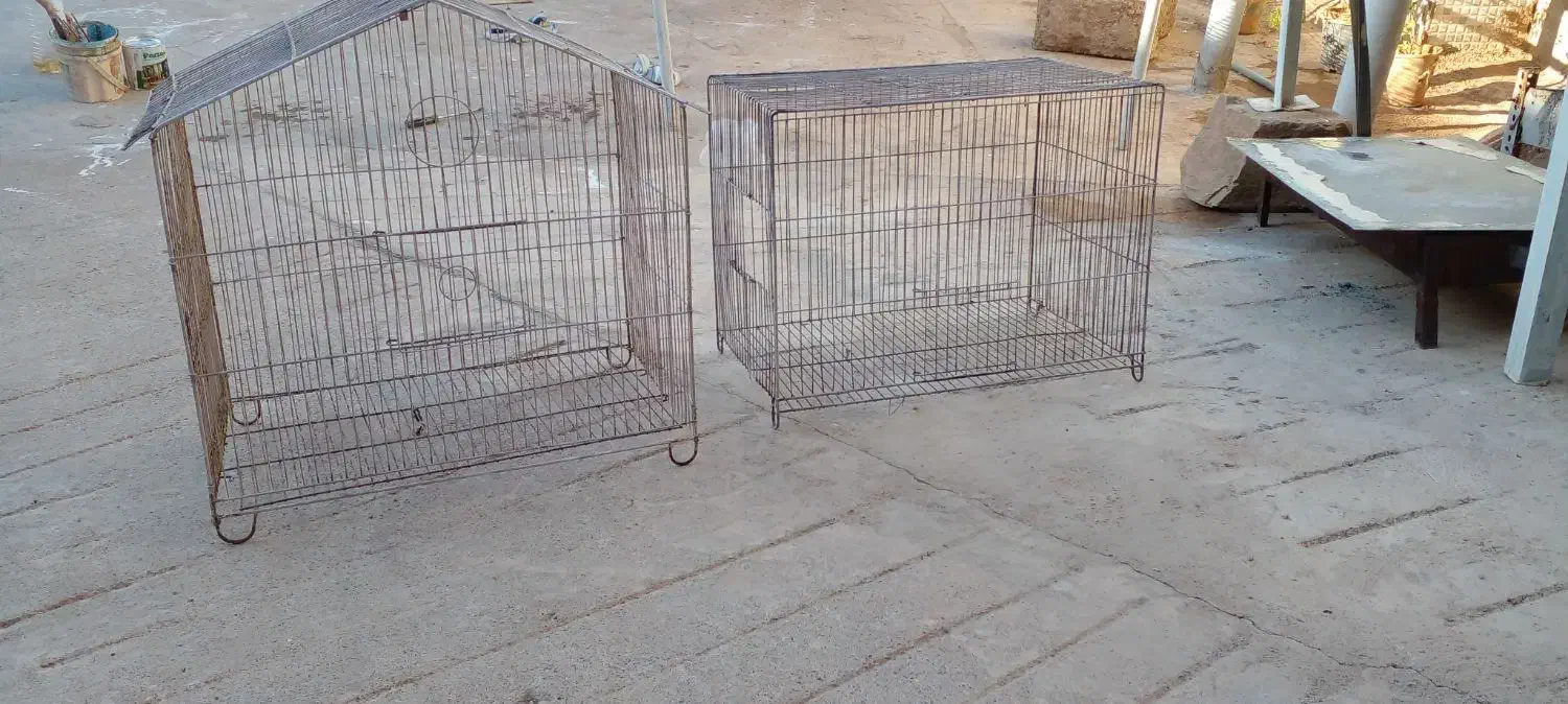 قفس|لوازم جانبی حیوانات|مسجد سلیمان, |دیوار