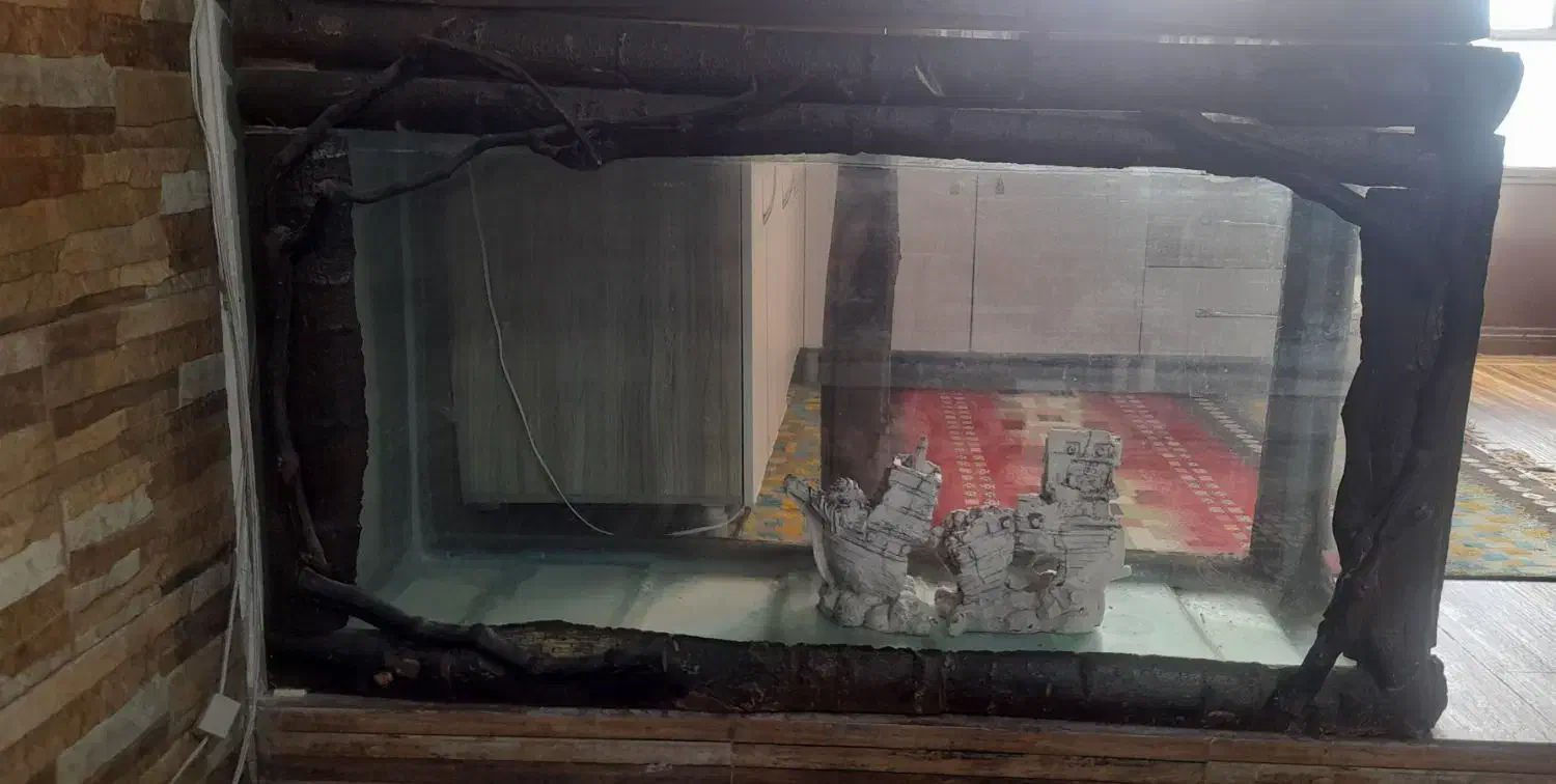 آکواریوم|ماهی|مشکین‌دشت, |دیوار