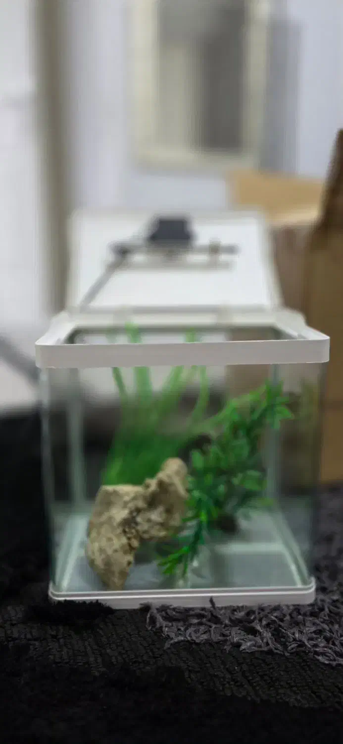 آکواریوم دلسا k320|ماهی|شیراز, مسکن مهر شیراز|دیوار