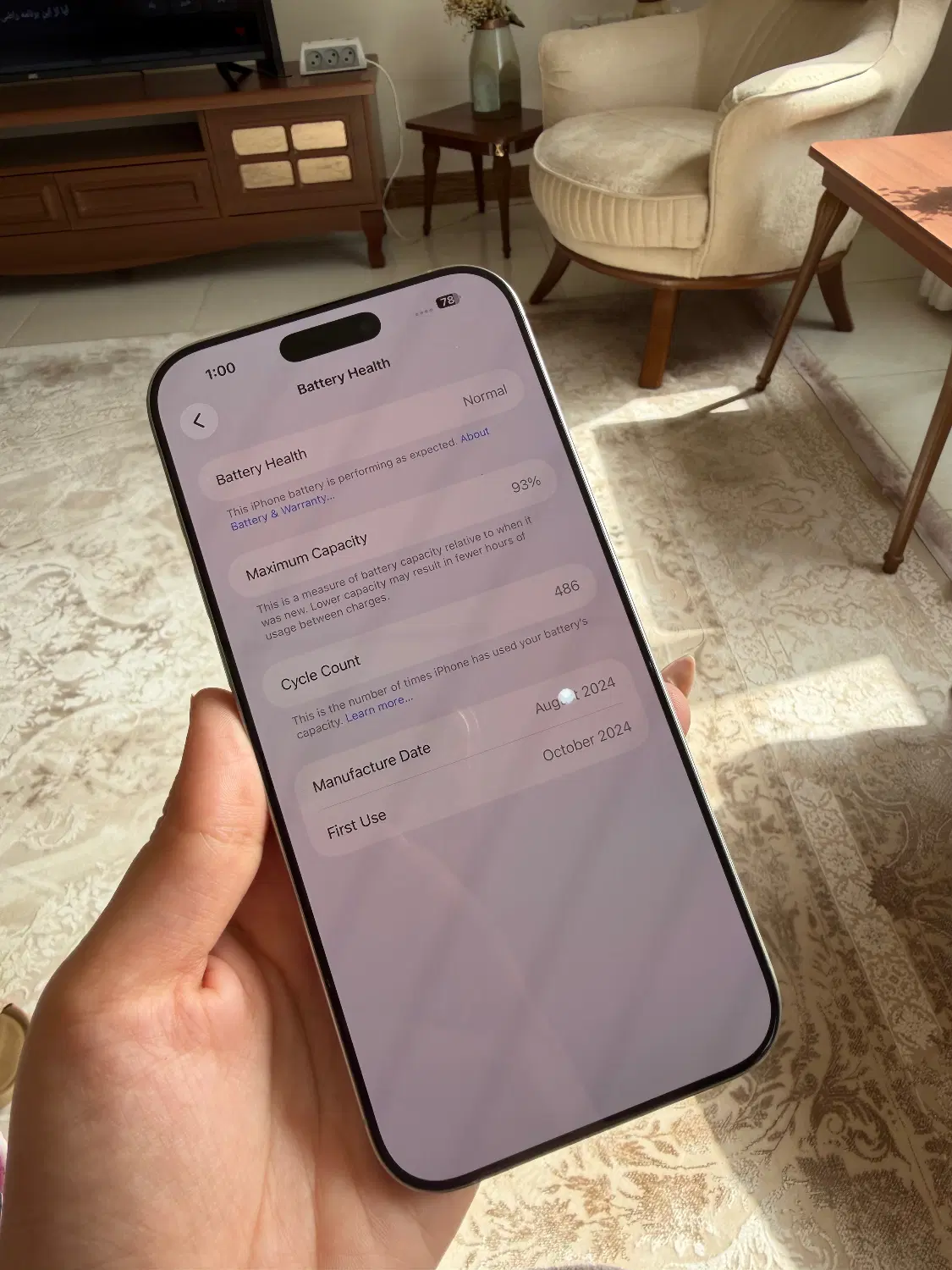 Iphone 16 promax 256گیگ|موبایل|رشت, باهنر|دیوار