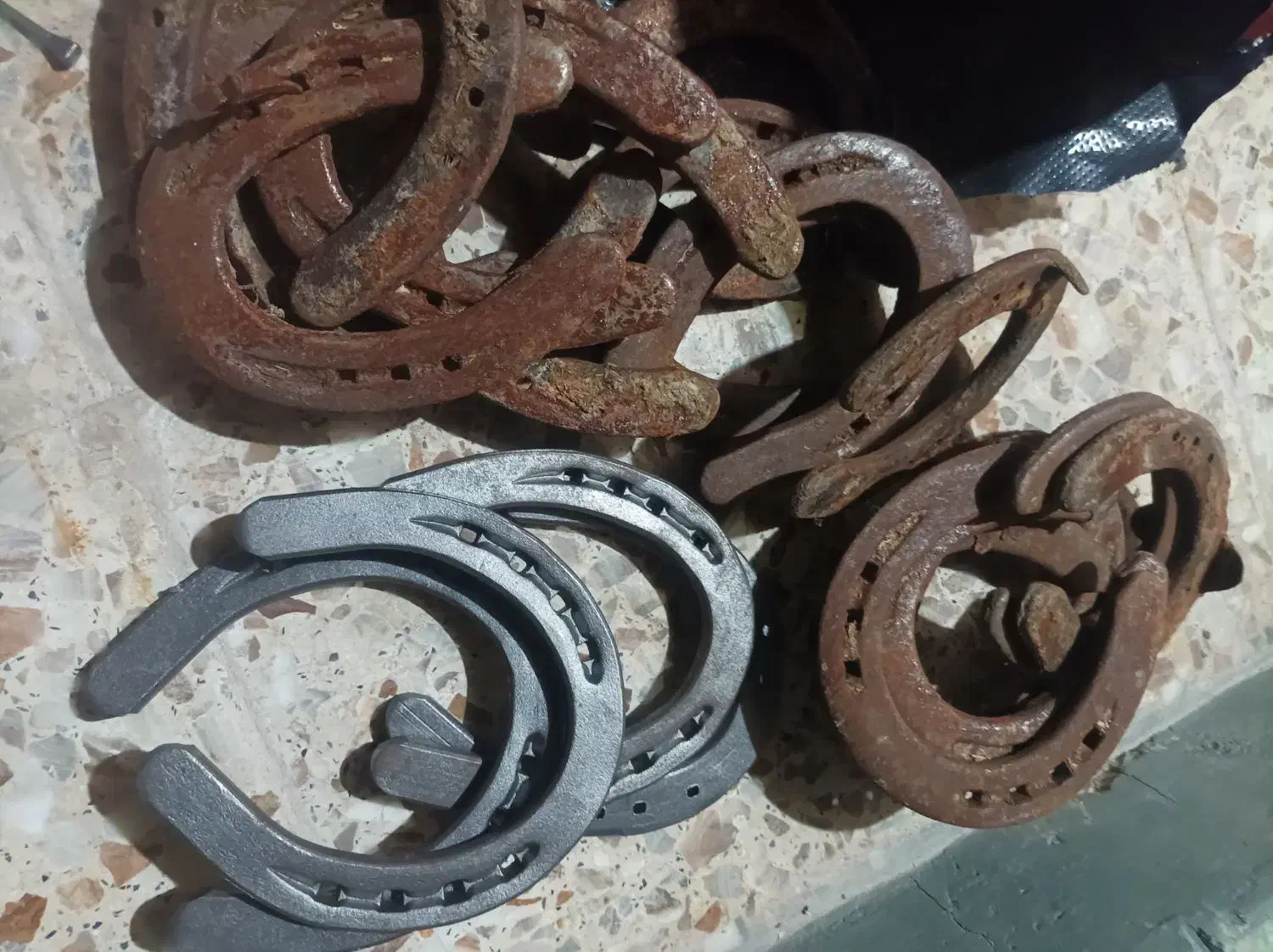 نعل کار کرده|اسب و تجهیزات اسب‌سواری|آبادان, |دیوار