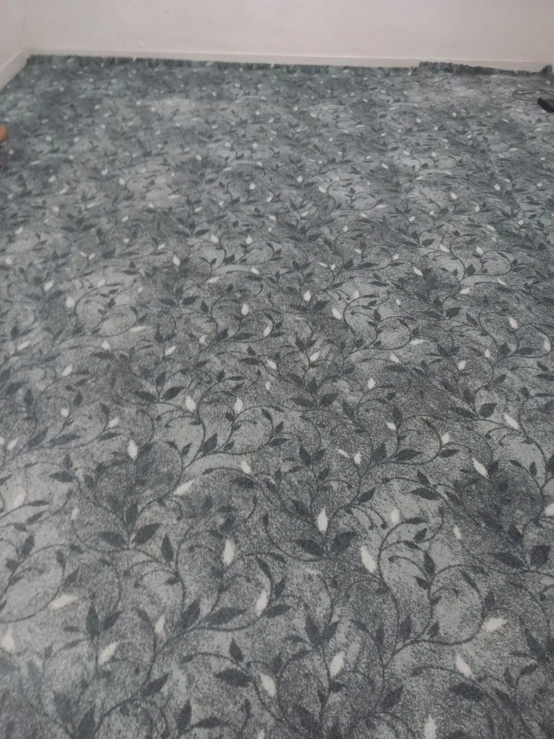 پالاز موکت|موکت|اهواز, شریعتی جنوبی|دیوار